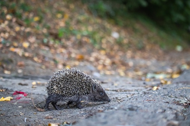 一场比赛的 一场比赛的