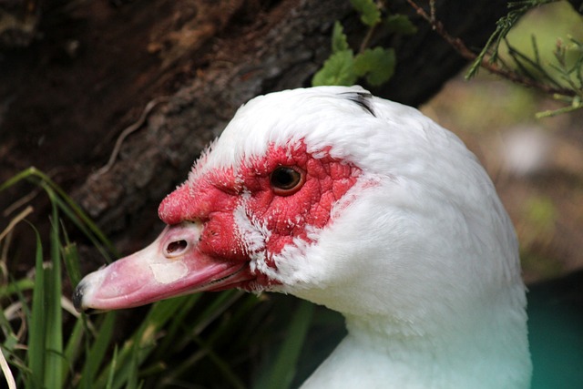 消费者的需 消费者的需