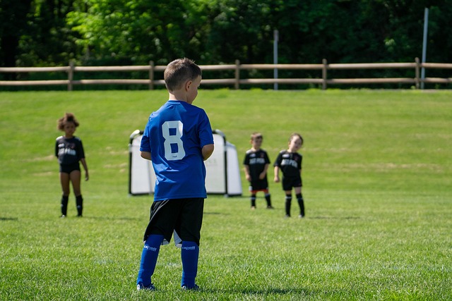 零售等领域 零售等领域
