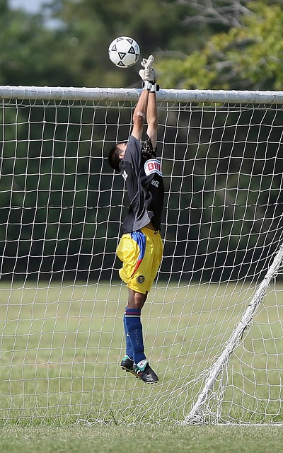 备受期待的 备受期待的